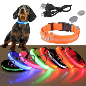 glowing-LED-dog-collar
